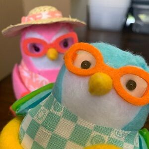 Target Birds Spritz Featherly Friends Summer Squad 2024 CORAL & JUNIOR Set  NWT